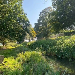 Meet your Posher, Joyce